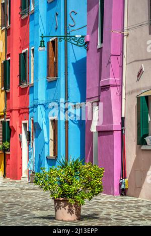 Case dipinte di colore, Burano, Venezia, Veneto, Italia Foto Stock