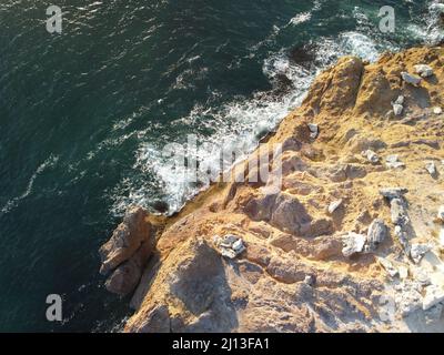 La testa del drago sorge dall'acqua - la roccia o la formazione di lava con la forma di un grande animale. Popolare destinazione di viaggio formazione di roccia vulcanica in Foto Stock