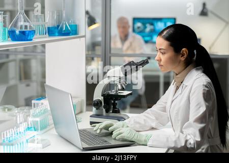 Giovane chimica femminile contemporanea in whitecoat e guanti digitando sulla tastiera del laptop mentre si guarda lo schermo in laboratorio Foto Stock