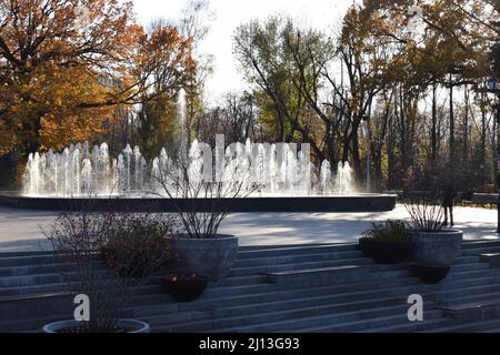Kharkov, Ucraina. 2021, Ottobre 26. Getti di fontana decorativa nel parco in autunno fogliame in controluce. Messa a fuoco selettiva. Movimento del getto d'acqua Foto Stock
