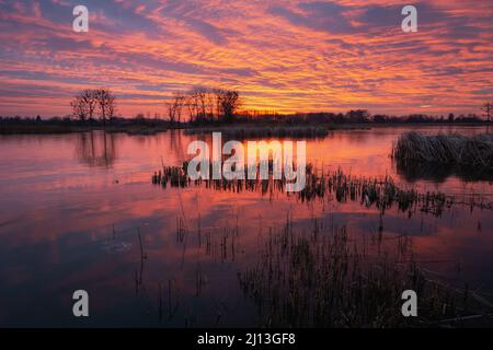 Cielo colorato e nuvole dopo il tramonto su un lago ghiacciato, vista invernale serale, Stankow, Polonia Foto Stock