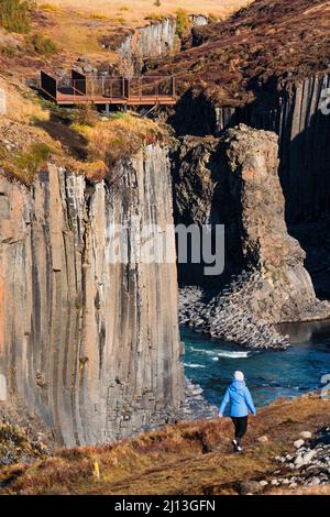 Spettacolari colonne basaltiche e canyon fluviale con turisti sfocati Foto Stock