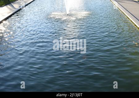 Kharkov, Ucraina. 2021, Ottobre 26. Getti di fontana decorativa nel parco in autunno fogliame in controluce. Messa a fuoco selettiva. Movimento del getto d'acqua Foto Stock
