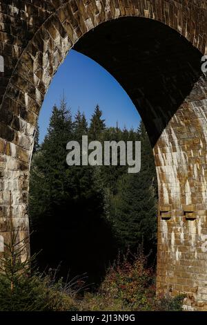 vecchio viadotto nella foresta Foto Stock