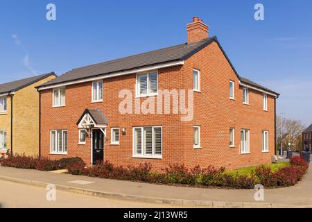 Casa indipendente nuova costruzione nel campo di Stortford sviluppo di abitazioni. Bishop's Stortford. REGNO UNITO Foto Stock