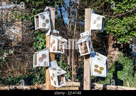 UN 'insetto hotel' in Sunnyside Gardens, North London, Regno Unito. Le scatole forniscono un habitat di overwintering per insetti ed altri insetti Foto Stock