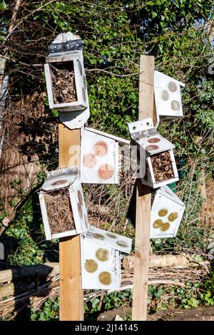 UN 'insetto hotel' in Sunnyside Gardens, North London, Regno Unito. Le scatole forniscono un habitat di overwintering per insetti ed altri insetti Foto Stock