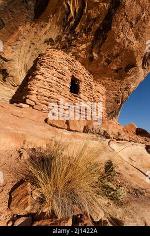 Un'antica scogliera di Puebloan di 1.000 anni di età che abita nel Lower Mule Canyon a Cedar Mesa nella shash JAA Unit of the Bears Ears National Monume Foto Stock