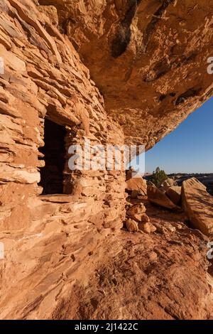 Un'antica scogliera di Puebloan di 1.000 anni di età che abita nel Lower Mule Canyon a Cedar Mesa nella shash JAA Unit of the Bears Ears National Monume Foto Stock