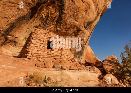 Un'antica scogliera di Puebloan di 1.000 anni di età che abita nel Lower Mule Canyon a Cedar Mesa nella shash JAA Unit of the Bears Ears National Monume Foto Stock