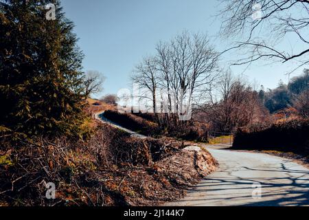 Corsia a binario singolo che si snoda attraverso la campagna rurale Foto Stock