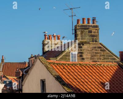 Tetti e camini si vedono contro un cielo blu chiaro. Robin Hoods Bay, North Yorkshire. Foto Stock