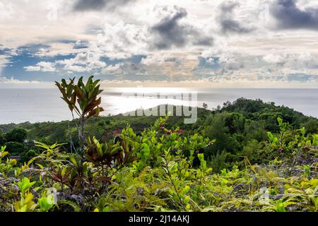 Vista panoramica dell'isola di Praslin, Seychelles, vista da Zimbabwe Point (Grand Fond), con lussureggiante vegetazione tropicale. Foto Stock