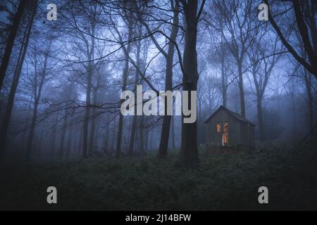 Foto di notte foresta con piccola casa in esso Foto Stock