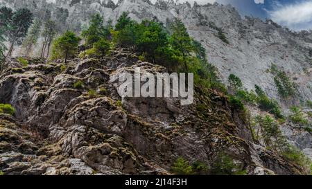 Foto dal canyon di Bicaz in Romania Foto Stock