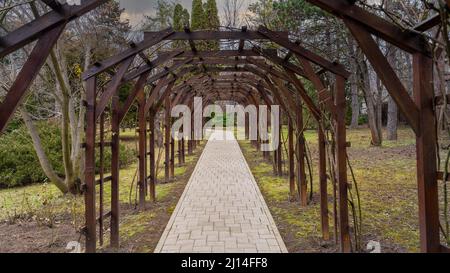 Foto dal giardino botanico Iasi Romania Foto Stock