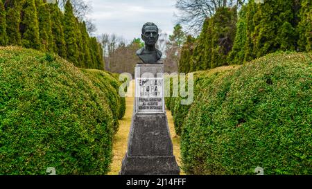 Foto dal giardino botanico Iasi Romania Foto Stock