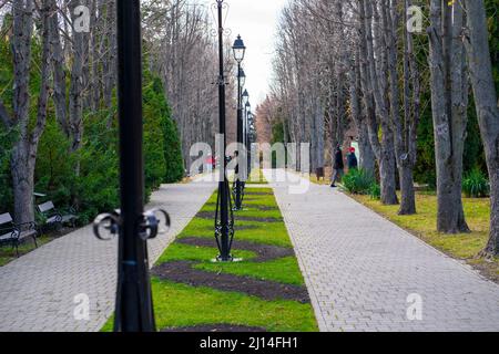 Foto dal giardino botanico Iasi Romania Foto Stock