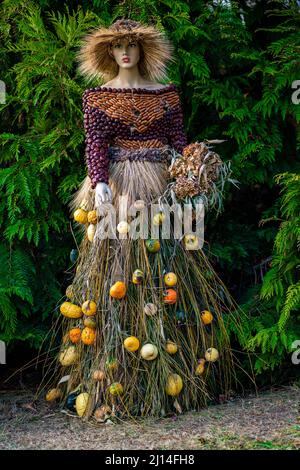 Foto dal giardino botanico Iasi Romania Foto Stock