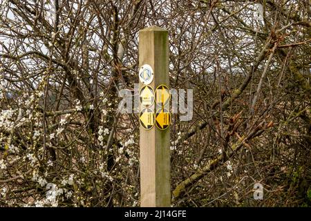 Unico palo in legno con sei rotonde stampate, quattro indicazioni di sentieri pubblici, di fronte ad una siepe recentemente sgrossata Foto Stock