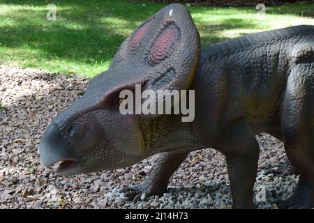 DINO PARK, KHARKOV - 8 AGOSTO 2021: Vista di un giorno della bellissima scultura di Dinosauri nel parco. Statua a grandezza naturale delle protoceratops nella foresta. Th Foto Stock