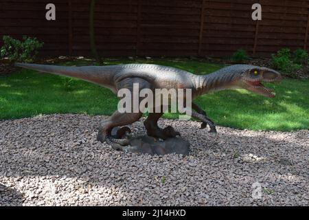 DINO PARK, KHARKOV - 8 AGOSTO 2021: Vista di un giorno della bellissima scultura di Dinosauri nel parco. L'aggressivo Velociraptor appare in Jurassic Par Foto Stock