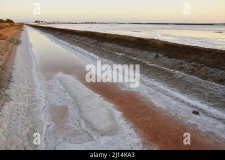 Produzione di sale naturale, il sale viene raccolto dopo evaporazione dell'acqua dallo stagno salino, zona naturale di Marismas del Odiel a Huelva Spagna meridionale. Foto Stock