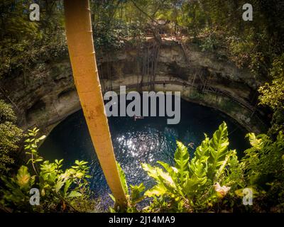 Cenote XCAN ché, nei pressi di Valladolid a Yucatan, Messico. Vicino alla zona archeologica Maya di Ek Balam e Chichen Itza. Foto Stock