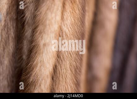 Sfondo di pellicce vintage in visone di visone in sfumature di beige e marrone. Profondità di campo poco profonda adatta per la crudeltà animale o per il progetto di prodotti di lusso Foto Stock