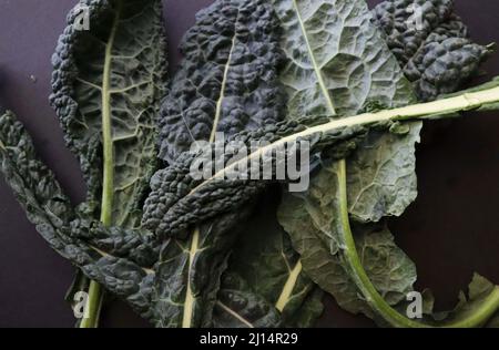 Primo piano di Kale su sfondo nero Foto Stock