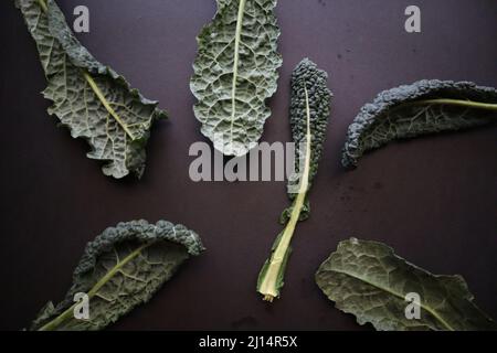 Kale su sfondo nero Foto Stock