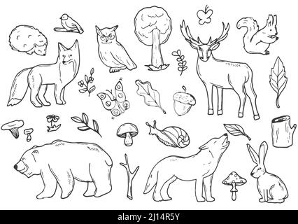 Woodland Animals Forest Doodle icone schizzo. Vettore disegno a mano. Isolato su bianco Illustrazione Vettoriale