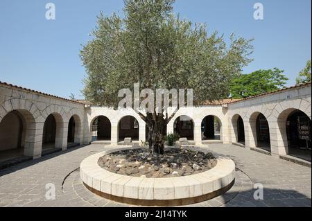 Tabgha, luogo del miracolo della moltiplicazione dei pani e dei pesci Foto Stock