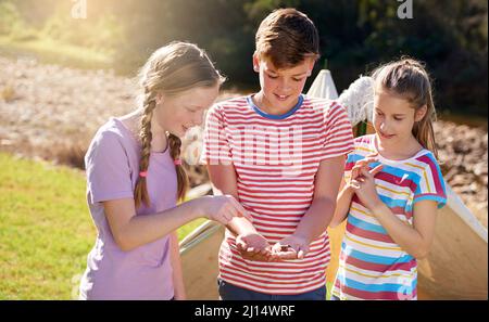 Guarda quello che ho trovato. Shot di bambini che guardano una rana che hanno scoperto in natura. Foto Stock