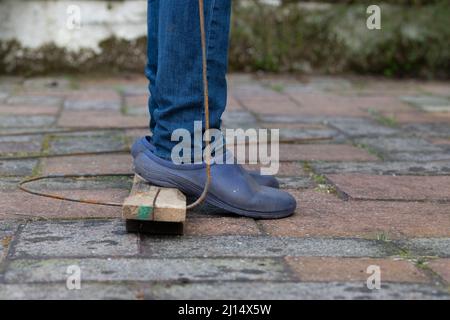 Plant sostiene - facendo i supporti di pianta di metallo piegando 6mm acciaio-verghe in forma intorno ad albero e poi . . . (per altre immagini, vedere ulteriori informazioni) Foto Stock