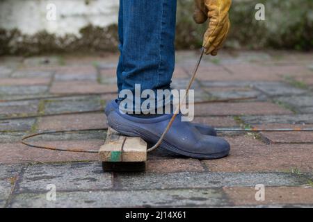 Plant sostiene - facendo i supporti di pianta di metallo piegando 6mm acciaio-verghe in forma intorno ad albero e poi . . . (per altre immagini, vedere ulteriori informazioni) Foto Stock