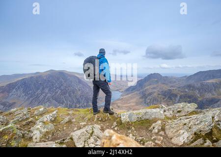 Vista posteriore di uomo isolato in tempo umido marcia escursioni montagne nel Parco Nazionale Snowdonia, Galles del Nord, Regno Unito, ammirando la vista panoramica paesaggio. Foto Stock