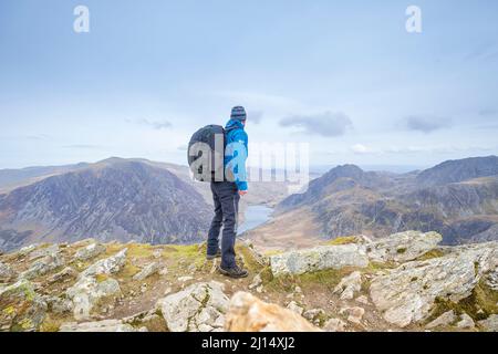 Vista posteriore di isolati uomini zaino montagna escursionismo in Snowdonia National Park, Galles del Nord, Regno Unito, guardando paesaggio durante il campeggio selvaggio viaggio. Foto Stock