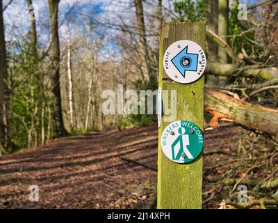 Segni circolari su un palo di legno intemperiato segnano la via di un percorso briglia con escursionisti Benvenuto. In inverno, a Chesham, Buckinghamshi, si tiene una giornata di sole Foto Stock