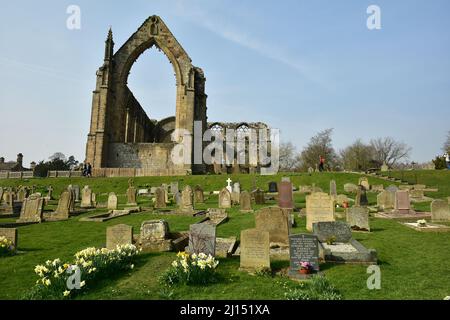 Bolton Abbey Priory, cimitero e fiori, Yorkshire Dales, West Yorkshire Foto Stock