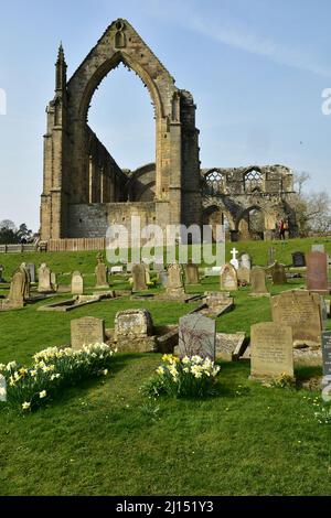 Bolton Abbey Priory, cimitero e fiori, Yorkshire Dales, West Yorkshire Foto Stock