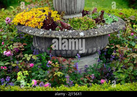 urna,gotica,vittoriano,stile,piantatrice,fiore,fiori,esposizione,succulente,succulenti,porri casa,sempervivum,mix,misto,contenitore giardinaggio,ornamentale Foto Stock