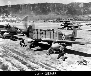 F-51D nordamericano Mustang combattenti di No. 2 Squadron della forza aerea sudafricana in Corea, il 1 maggio 1951 Foto Stock