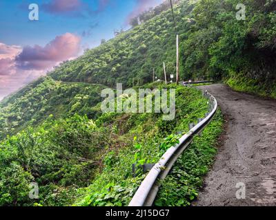 Waipio Valley Road, la strada più ripida degli Stati Uniti che conduce a Punaluu Black Sand Beach alle Hawaii Foto Stock