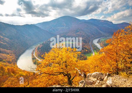 Paesaggio autunnale con meandro di un fiume. Il Domasin si snodano sul fiume Vah. Il parco nazionale di Mala Fatra, Slovacchia, Europa. Foto Stock