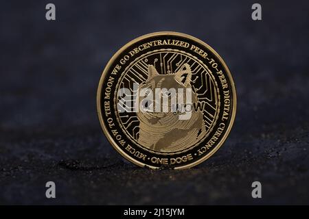 Doge Cryptocurrency Coin fisico posto sul suolo vulcanico con rocce Foto Stock