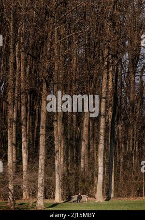 Persona che sting su un bebch sul bordo di una foresta Foto Stock
