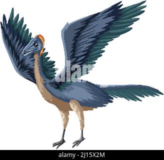 Un Archaeopteryx dinosauro su sfondo bianco Illustrazione Vettoriale