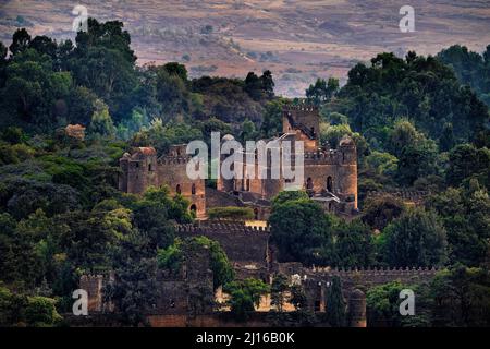 Veduta aerea del castello di Fasilides in Gondar in Etiopia. Alberi verdi con vecchio edificio in Africa paesaggio. Etiopia, Gondër Royal enclosure (Fasil Gheb Foto Stock