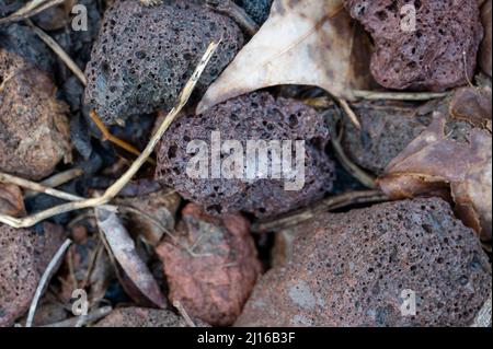 Rami asciutti e radici giacciono su pietre di diversi colori e dimensioni. Vista dall'alto. Foto Stock